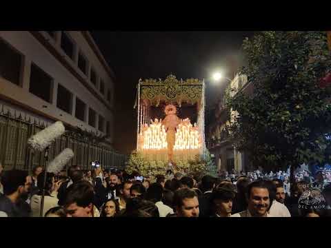 Pontificia, Real, Ilustre y Fervorosa Hermandad Sacramental y Cofradía de Nazarenos de Nuestro Padre Jesús de las Penas, María Santísima de la Estrella, Triunfo del Santo Lignum Crucis, San Francisco de Paula y Santas Justa y Rufina