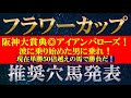 【フラワーカップ2022】推奨穴馬発表！阪神大賞典◎アイアンバローズ的中！この超大穴で2日連続の的中だ！