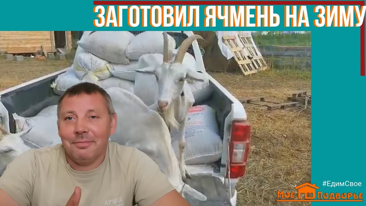Подготовка к зиме: купил ЯЧМЕНЬ. "Мое Подворье" - YouTube