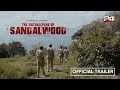 The gatekeepers of sandalwood  trailer  24 news documentary  marayoor sandalwood