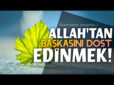 Allah'tan Başkasını Dost Edinmek!