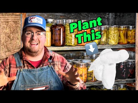Top 5 Survival Crops for your Garden - YouTube