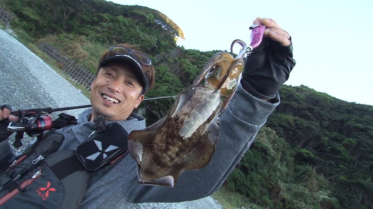 イージーに！そしてサカナも狙える！秋イカ攻略in和歌山　前編