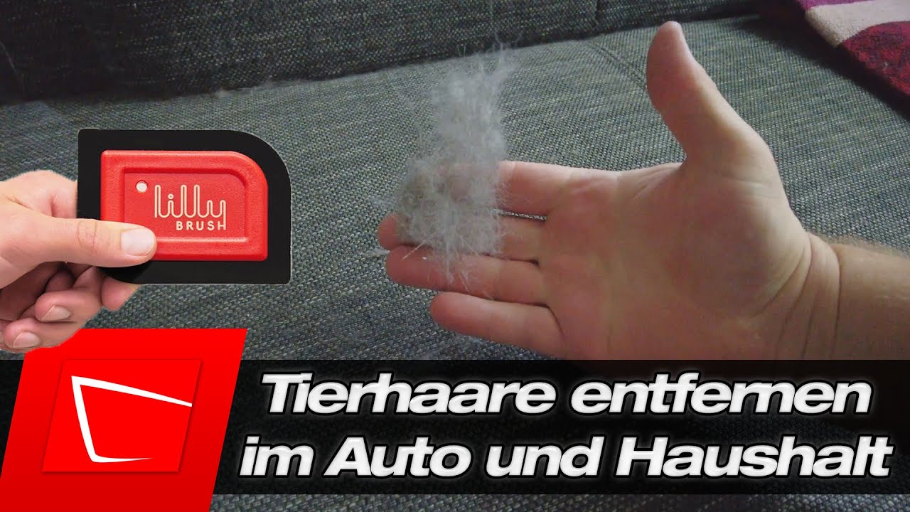 Tierhaare im Auto und Haushalt entfernen - Lilly Brush im Test Katzen und Hundehaare entfernen
