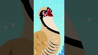 Twelve Days of Christmas #trending #viral #shorts #ytshorts