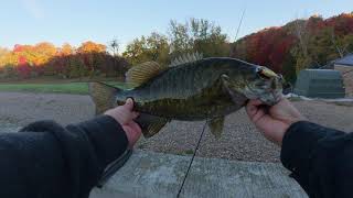 Fall Jdm Fishing Jackall Tn38