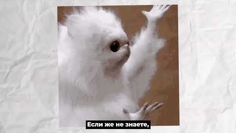 AI-ART СО СВОИМ ЛИЦОМ ОЧЕНЬ ПРОСТО | STABLE DIFFUSION LORA