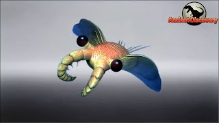 Anomalocaris | Cambrian ancient monsters | Evolution Story