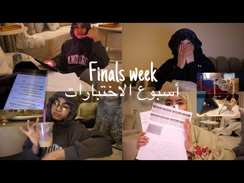 فللووق اسبوع الاختباارات    جوجو عبداللطيف