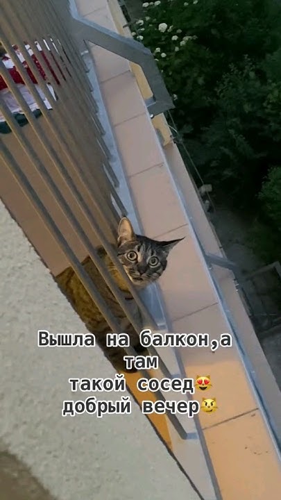 добрый вечер, я-диспетчер 😅 - YouTube