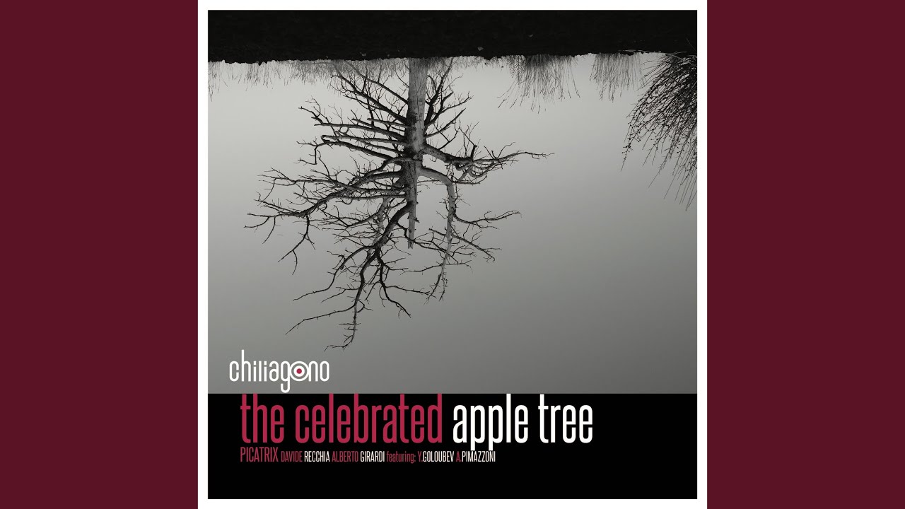 Zero Age Main Sequence