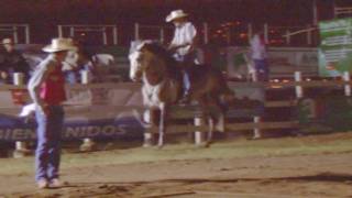 Exhibición de Caballos Cortijo R-G Costa Rica