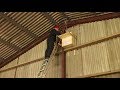 How to Erect a Barn Owl Nestbox in a Building