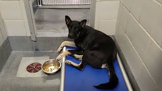 acs A676501