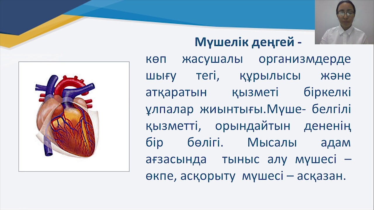 Үлкен сексуалды латина есектер Шарлардағы адамды таяқпен ұру