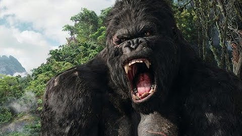 King Kong (🎶Destorm-king Kong🎶) thank u so much for 61 subs
