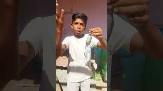 வடடகக மன அனபப வடவரகள