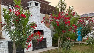 Tam Eşyalı Hovuzlu Bag Evi Merdekanda 280000 Azn 994552206757