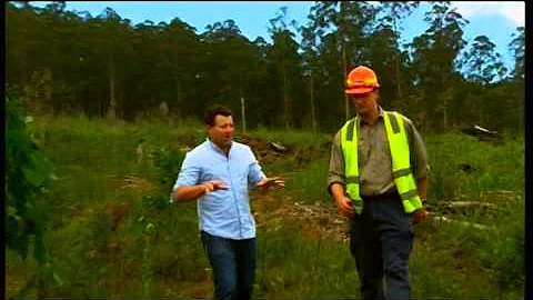 Going Bush 4 - Episode 1 - Mountain Ash forests of...