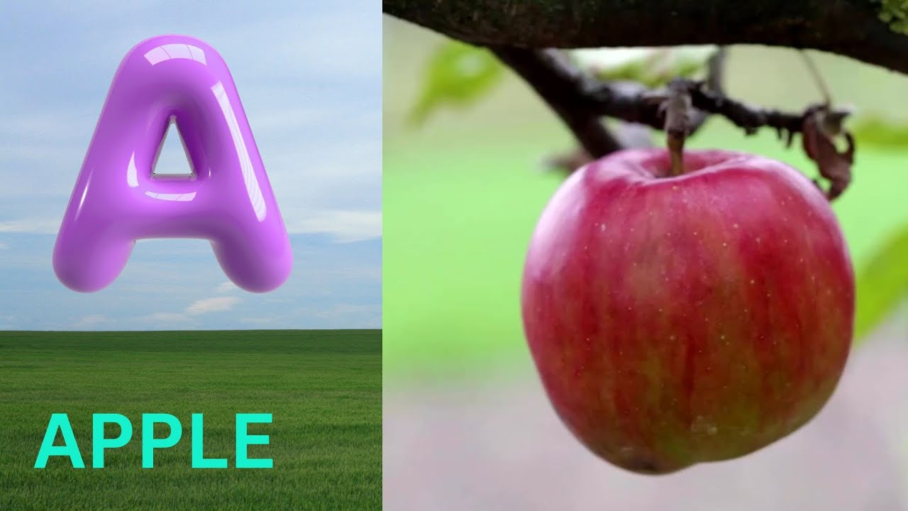 ABC Phonics Song | Alphabet letter sounds | ABC learning for toddlers ...