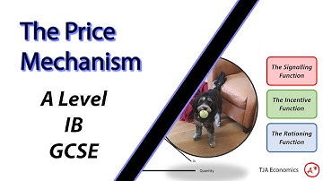 The Functions of The Price Mechanism | A Level, IB and GCSE Economics