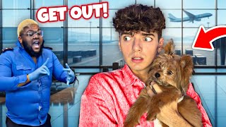 First Time On A Plane With A PUPPY!