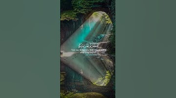 يوم تبيض وجوه وتسود وجوه #قران_كريم سورة أل عمران .الشيخ وديع اليمني