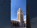  يالطيف  ألطف بنا تونس نجومي
