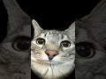I just did a boom boom #funny