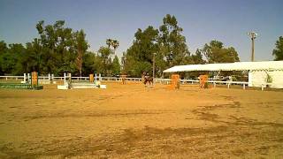 VID00369.AVI