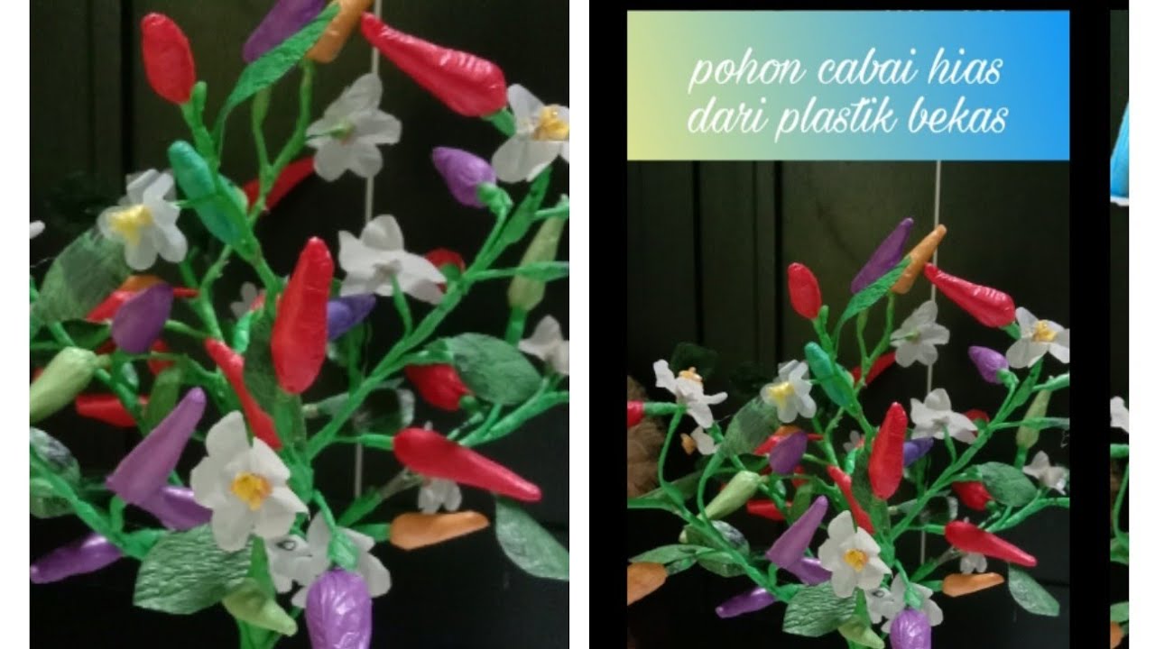  Cara  membuat  pohon  cabai hias  dari plastik bekas YouTube