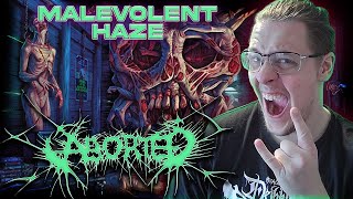 Aborted - Malevolent Haze music reaction and review