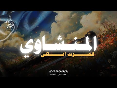 صوت يبكي وكلام الله يملأ الروح نور ا المنشاوي 