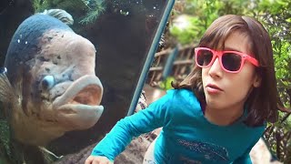 ENCONTREI ANIMAIS INCRÍVEIS NO ZOO! ★ Vlog no Zoológico de Toronto - Canadá | Tour Completo
