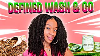 DEFINED WASH & GO USING ALOE VERA + FLAXSEED GEL* SUPER MOISTURIZING FOR DRY HAIR*