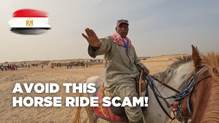 Horse Ride Scam at the Pyramids of Giza
