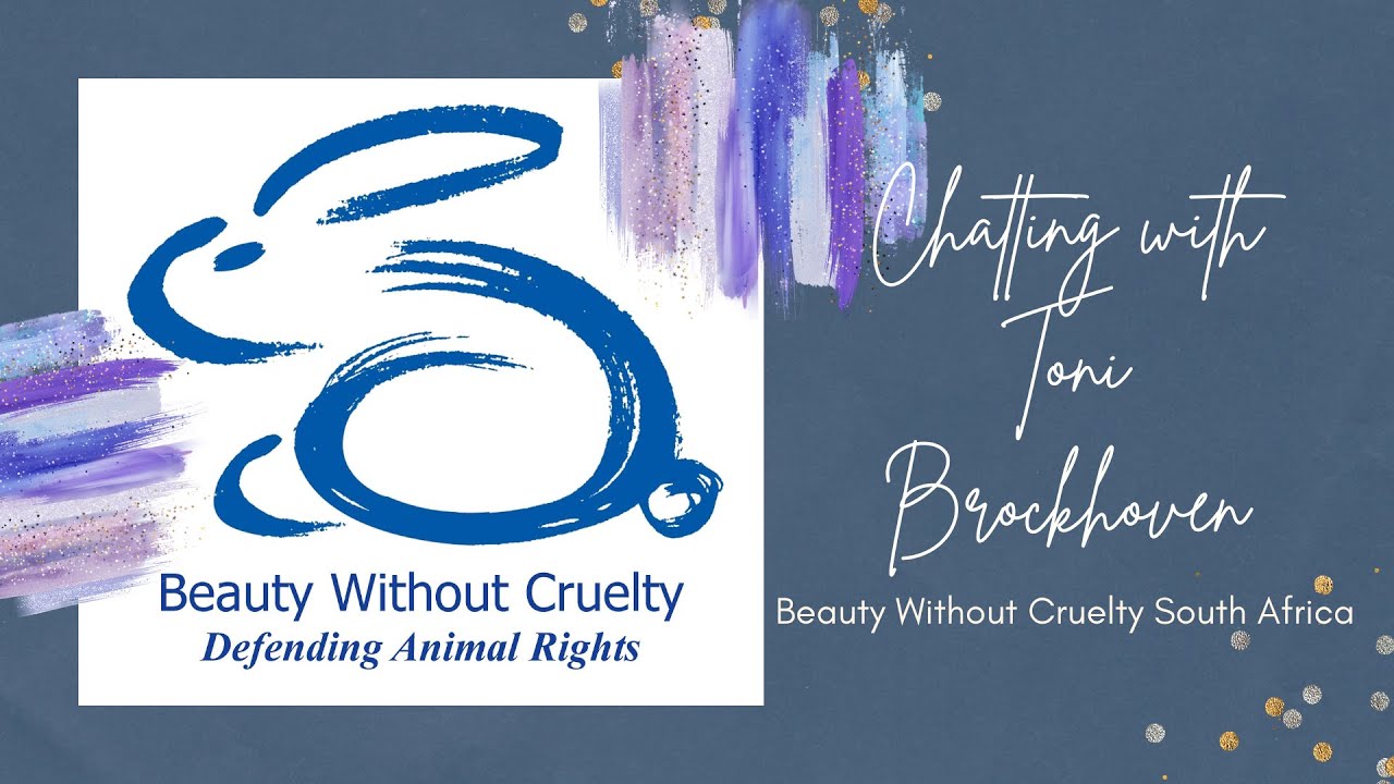 Chatting with Toni Brockhoven || Beauty Without Cruelty