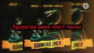 Текст песни(слова) MriD, Artem Smile - Ядовитая змея караоке