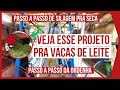 90 vacas de leite em 6 hectares  projeto rotacionado adubado e irrigado