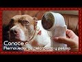 Conoce a: Removedor de pelo de perro o gato, pelusa y polvo