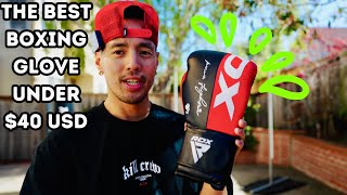RDX F4 BOXING GLOVES 🥊🔥 // REVIEW by SENSEI JASON 874 views 1 month ago 6 minutes, 52 seconds