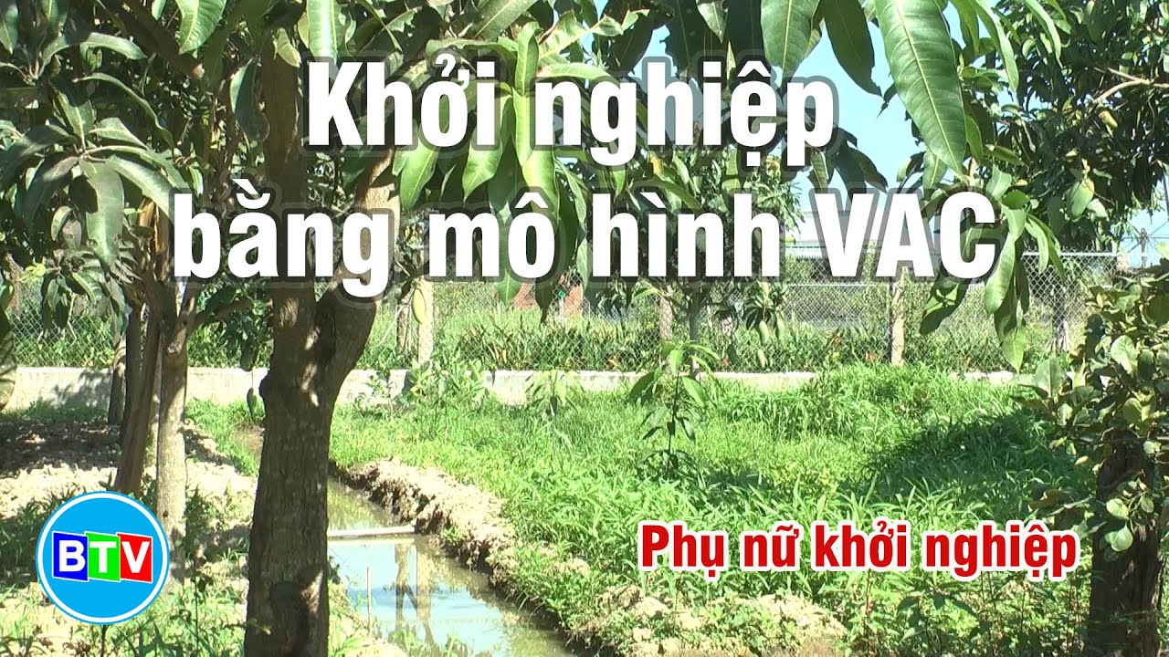 Mô Hình VAC Cho Đất Nông Nghiệp Diện Tích Nhỏ  Vườn Quê Việt