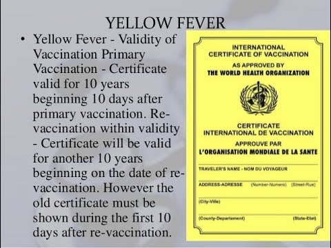 Yellow Fever Vaccine Certificate in Pakistan | How to get Yellow Fever Vaccine Certificate