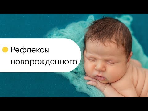 Рефлексы новорожденного. Что умеет новорожденный? Глазами младенца.