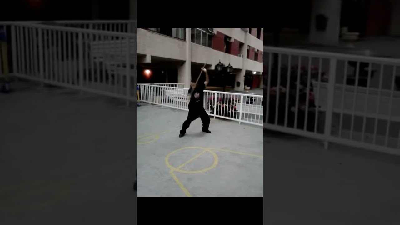 KUNG FU FEI HOK PHAI "Sean Long Kwan" Bastão Dragão Duplo