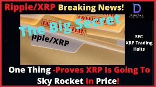 Ripple/XRP-SEC News,BItcoin New All Time High $25,000,OneThing-How You Know XRP Is Going To The Moon