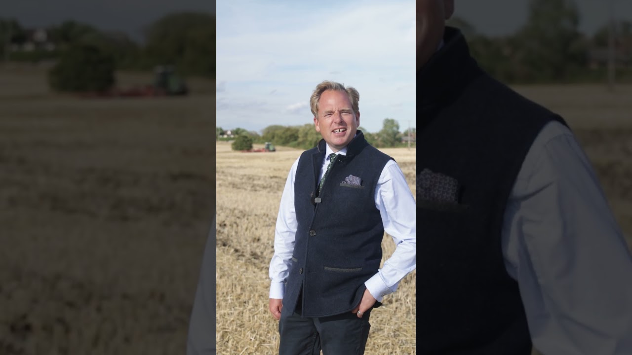 The Rain Finally Comes, a Game Changer for Cultivations