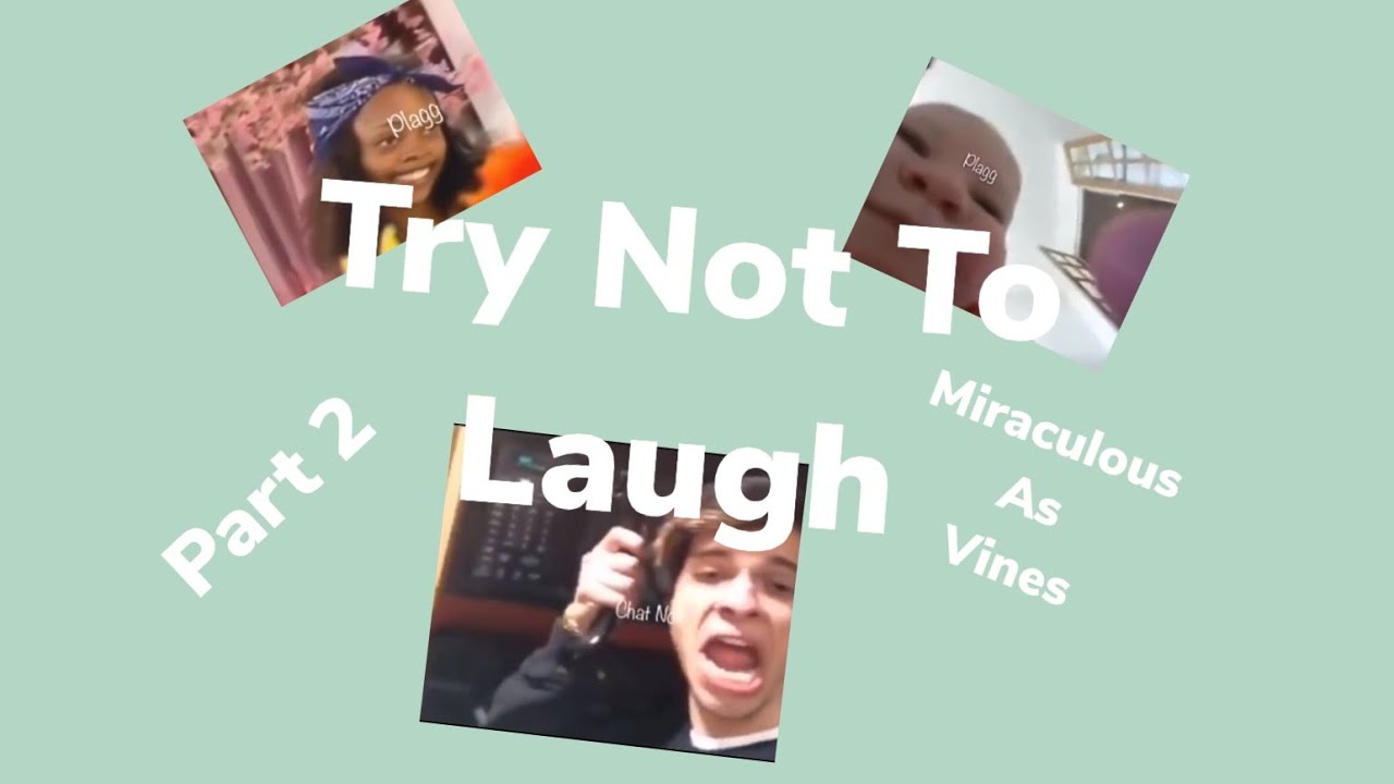 Try Not To Laugh Challenge Part 2 - Miraculous Ladybug As Vines