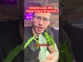 Here’s The Secret To Generating Leads With Claude Code
