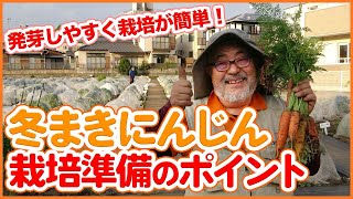 家庭菜園や農園で冬まきニンジン栽培！発芽しやすい冬の種まきがおすすめ！簡単なニンジンの育て方を徹底解説！【農園ライフ】